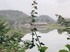 -全汁全味驴庄(凤岗店)