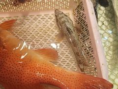 -华源餐厅·海鲜大排档(日月贝店)