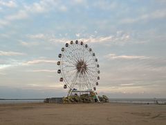 -奉贤海滩