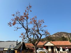 -里口山风景名胜区