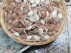 -草原碳烤羊腿(仙塘店)