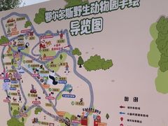 -鄂尔多斯野生动物园