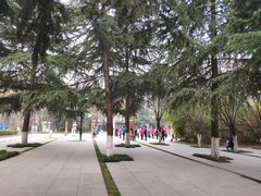 -木塔寺遗址生态公园