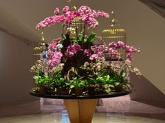 -新加坡泛太平洋酒店