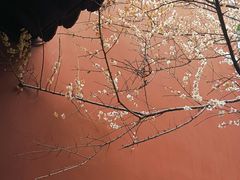 -钱王祠