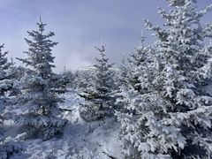 -密苑云顶乐园(云顶滑雪场)