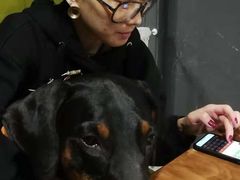 -百好乐宠物友好餐厅(朝外大街店)