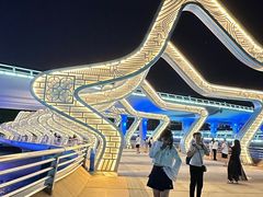 -演武大桥观景平台