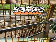 -上海野生动物园