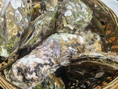 -蚝堡海鲜·威海菜·海肠捞饭·烧烤·亚洲吃蚝公司(幸福门店)