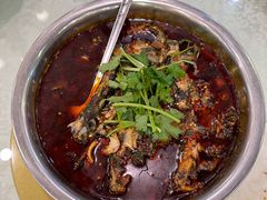 -高坎一品甲鱼庄(两河店)