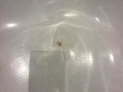 -廊坊固安福朋喜来登酒店