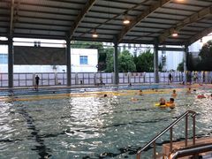 -小海豚国际游泳培训(长宁龙之梦酒店)