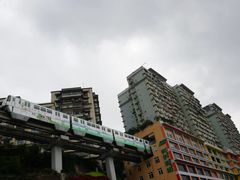 -南山植物园
