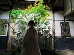 -尧坝古镇