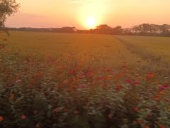 -七的湖·晚芳亭·阳澄湖农家菜·大闸蟹(莲花岛店)