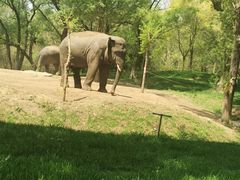 -北京野生动物园