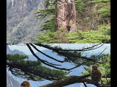 -黄山风景区