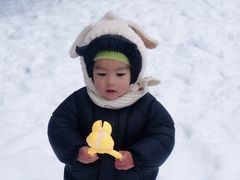 -武陵山森林公园