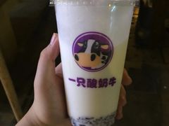 -一只酸奶牛(来福士店)