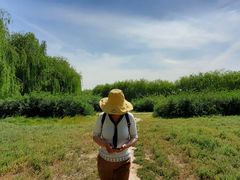 -东坝千亩湖公园