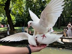 -西园戒幢律寺