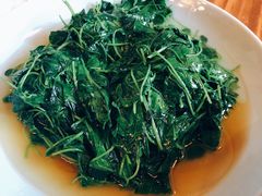 酒香草头-双塔老饭店