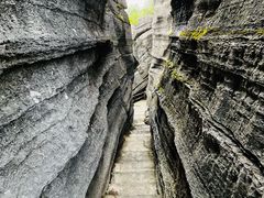 -梭布垭石林景区