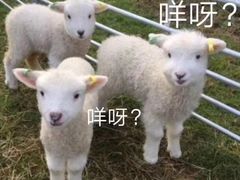 -明谷行馆·温泉
