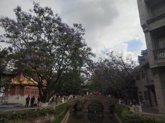 -龙潭水乡