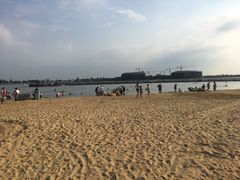 -金沙湖旅游度假区