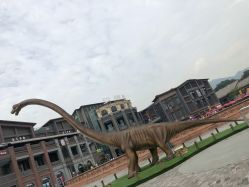 -恐龙探索乐园(磁器口店)