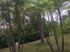 -三亚珠江南田温泉度假区