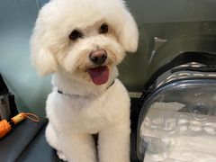 -PETKIT小佩宠物(昭化店)