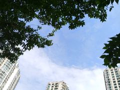 -苏州河梦清园环保主题公园