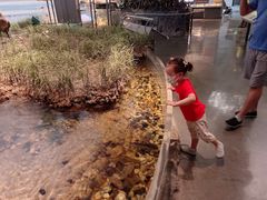 -中国湿地博物馆