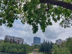 -深圳龙潭公园