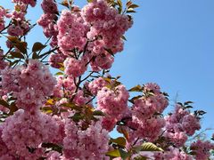 -羊亭河湿地公园