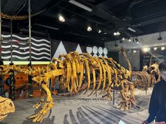 -墨尔本博物馆(Melbourne Museum)