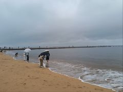 -青岛第二海水浴场