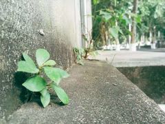 -天河体育中心