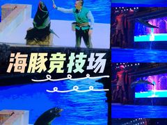 -哈尔滨波塞冬海底世界