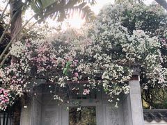 -深圳国际园林花卉博览园