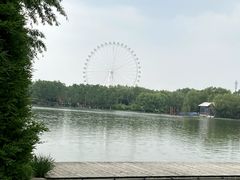 -石家庄市植物园