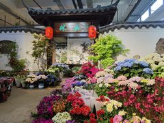 -双季花艺园艺市场(浦东店)