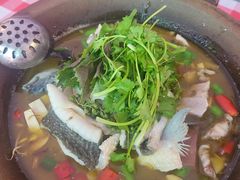 -九门寨石锅鱼烤鱼