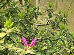 -上海市龙华烈士陵园