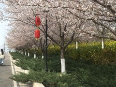 -古柏渡飞黄旅游区