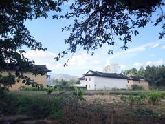 -福建土楼（华安）旅游区•大地土楼群