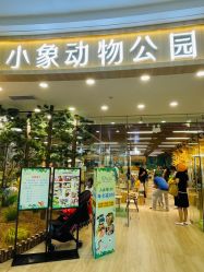 -棒恰恰小象动物公园